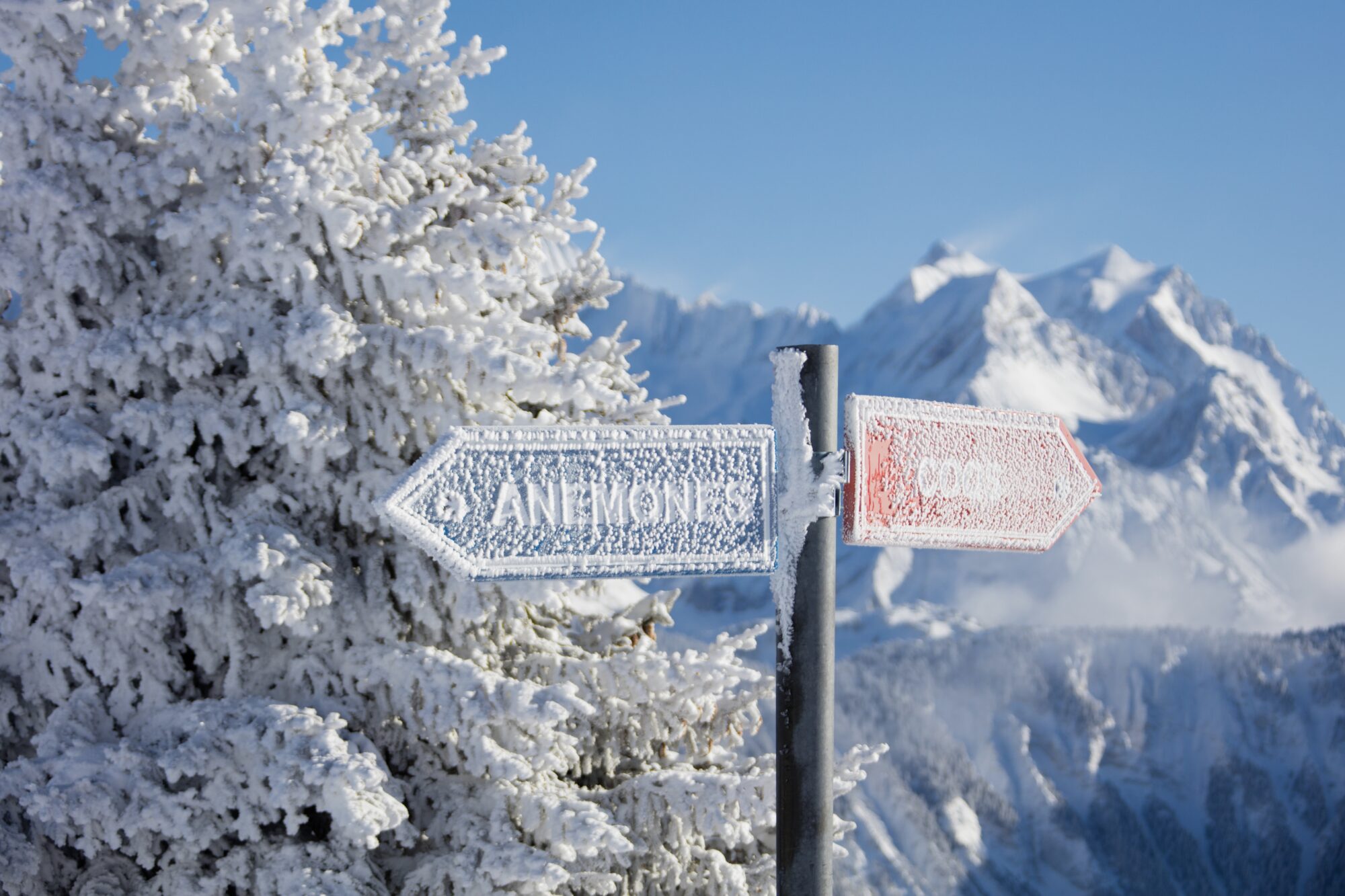 Courchevel photo sport Thomas Petit Photographe ski Savoie
